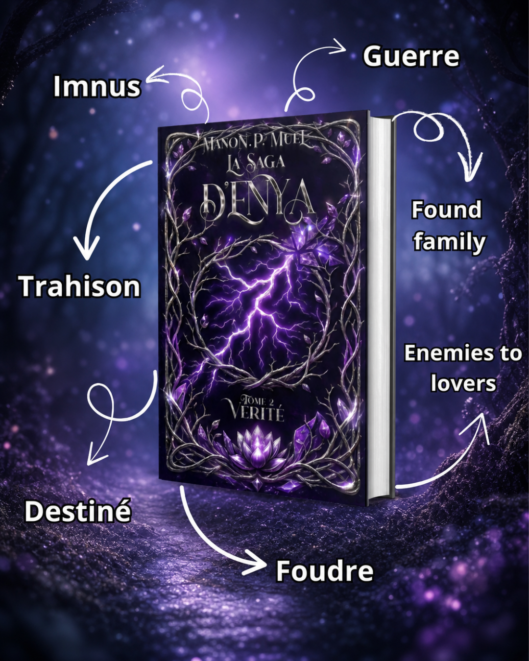 Vérité : La saga d'Enya tome 2 – Image 3